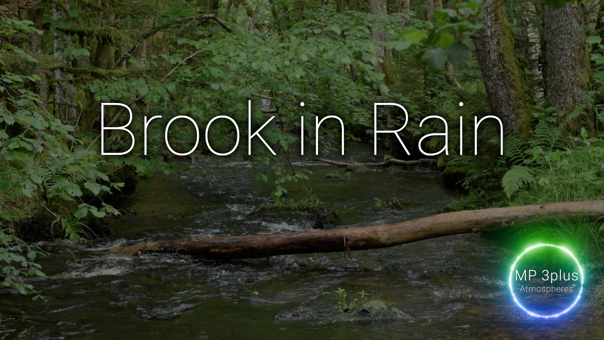 Track Brook in Rain thumbnail