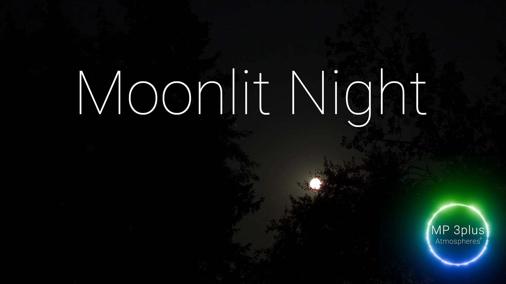 Track Moonlit Night thumbnail